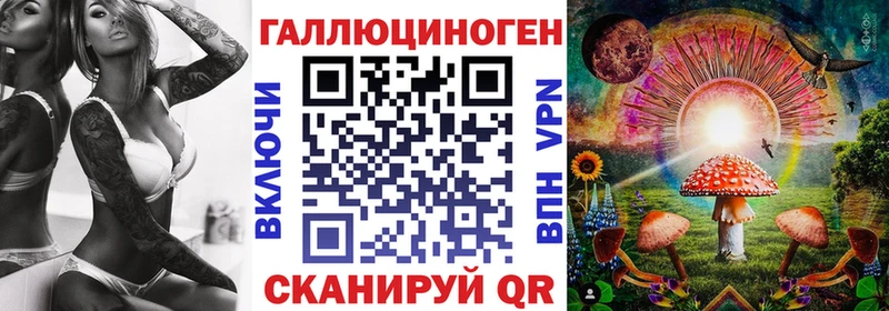 Псилоцибиновые грибы Psilocybe  где продают   Новочебоксарск 