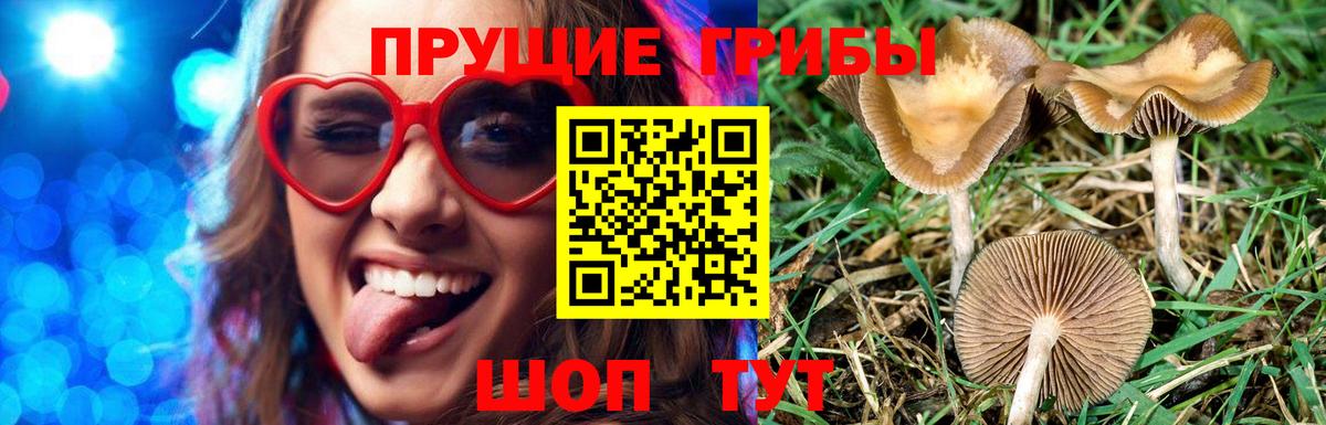 Новочебоксарск  Псилоцибиновые грибы Magic Shrooms  Вход с VPN 